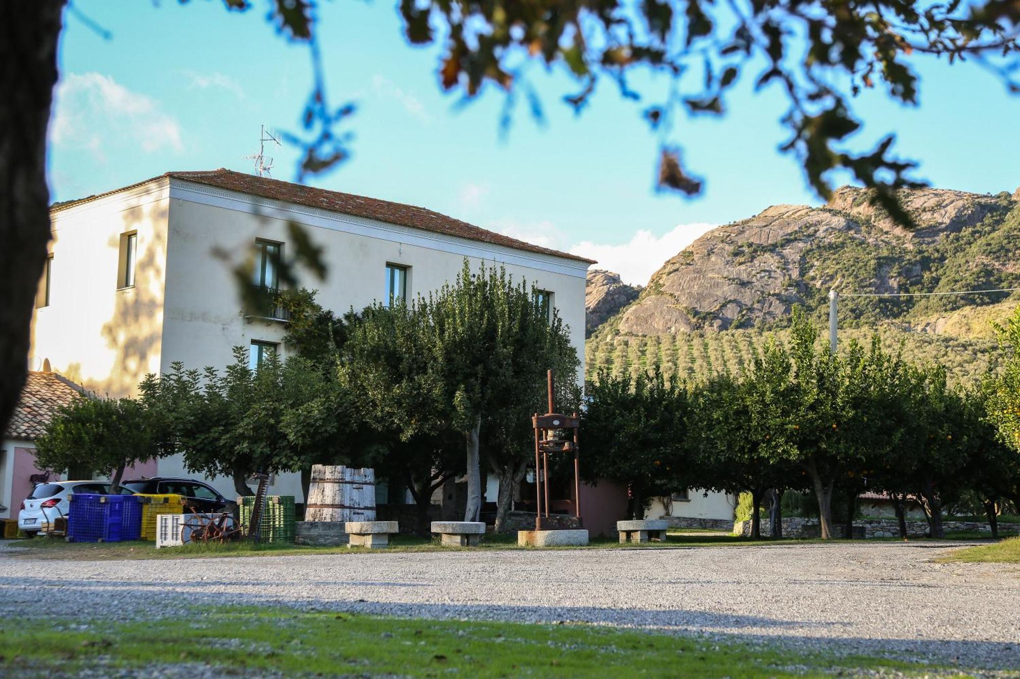 Barone Gr Macri Agriturismo Modi 杰拉切 外观 照片